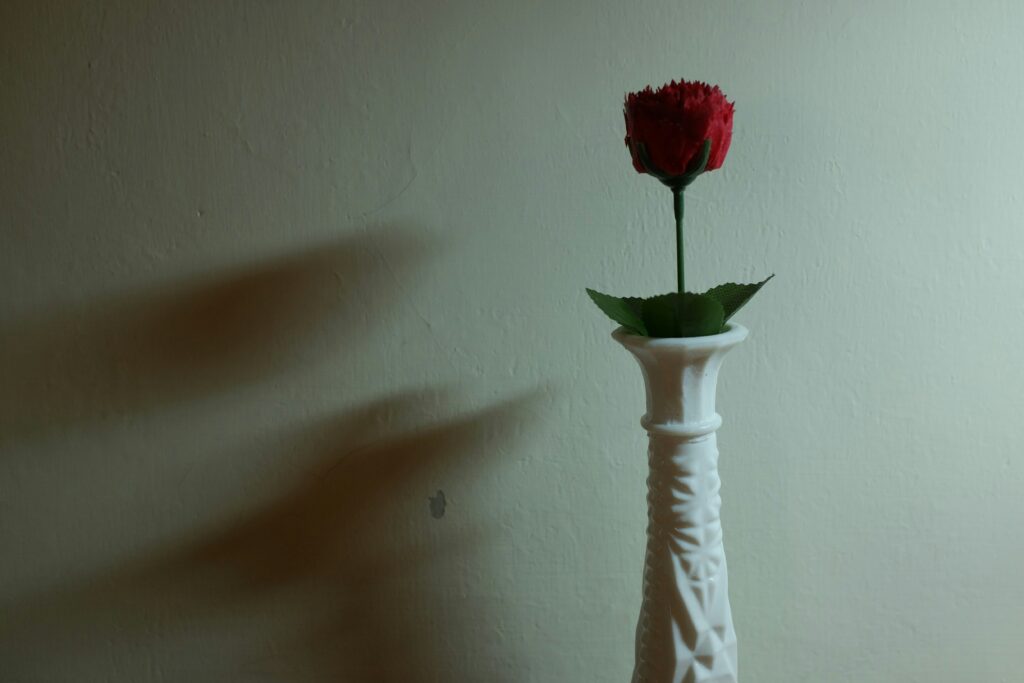 mche lee nrw4bun6nxu unsplash