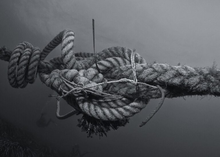 pascal van de vendel rqjnwnqbwgu unsplash 1