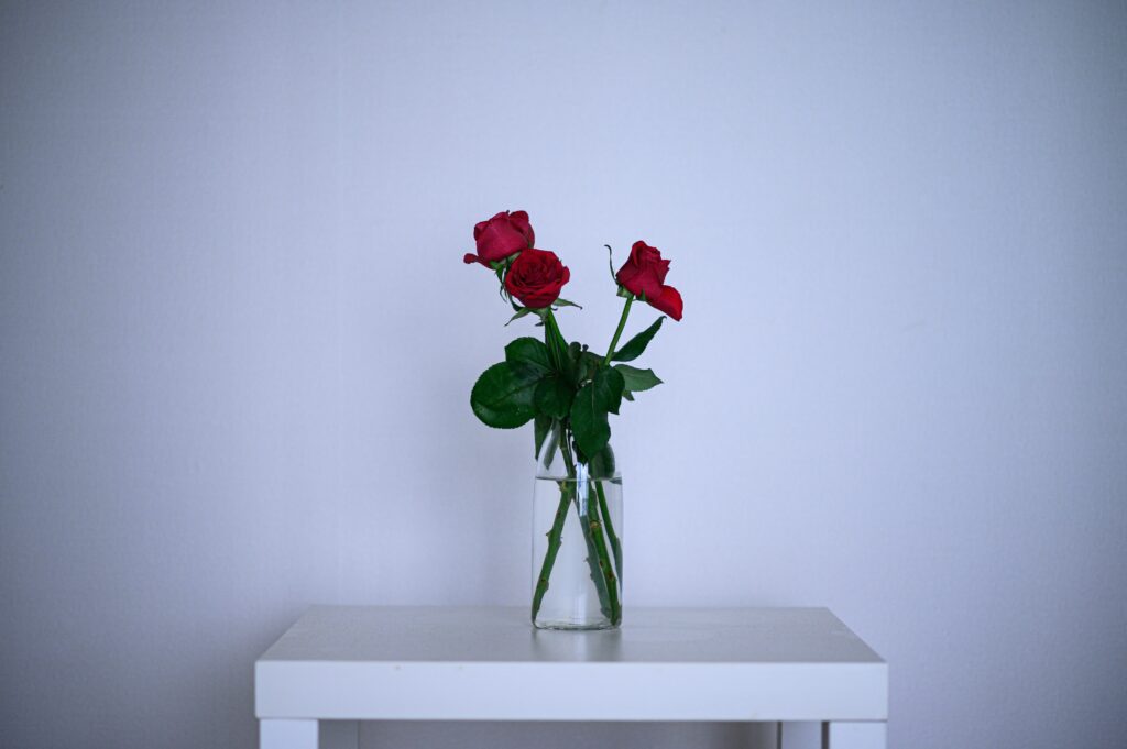 ryul davidson hwbuzvwws8a unsplash