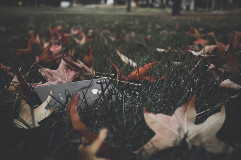 saketh o 3en 7w7jq unsplash