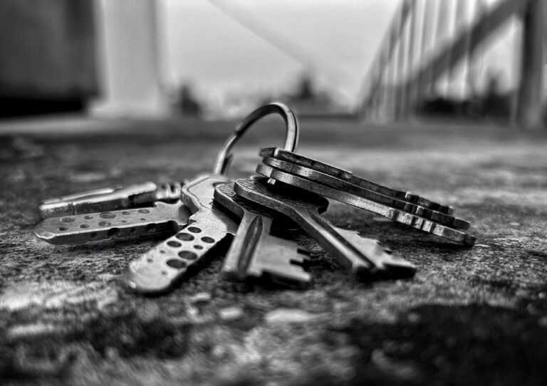 angshu purkait zko9hu0zd80 unsplash