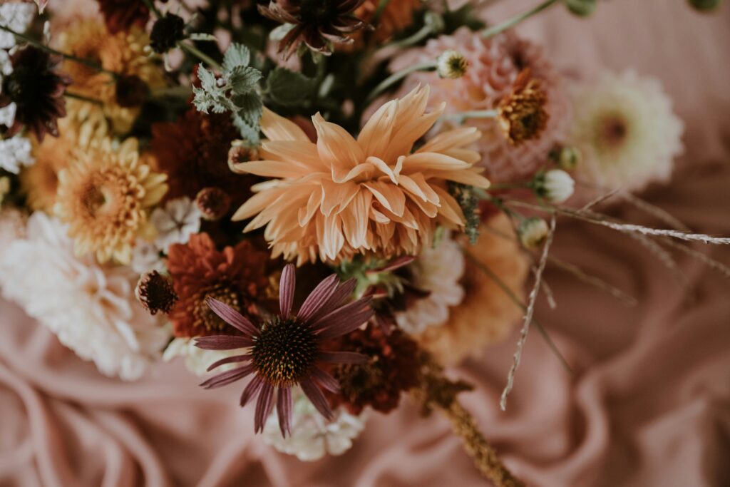 anita austvika r6fpltsi7hs unsplash 1