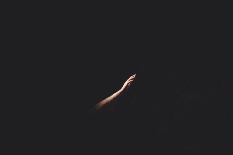 cherry laithang nmppz1ja je unsplash