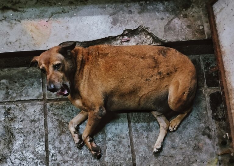 chinmay k z5kcbjsh7qw unsplash