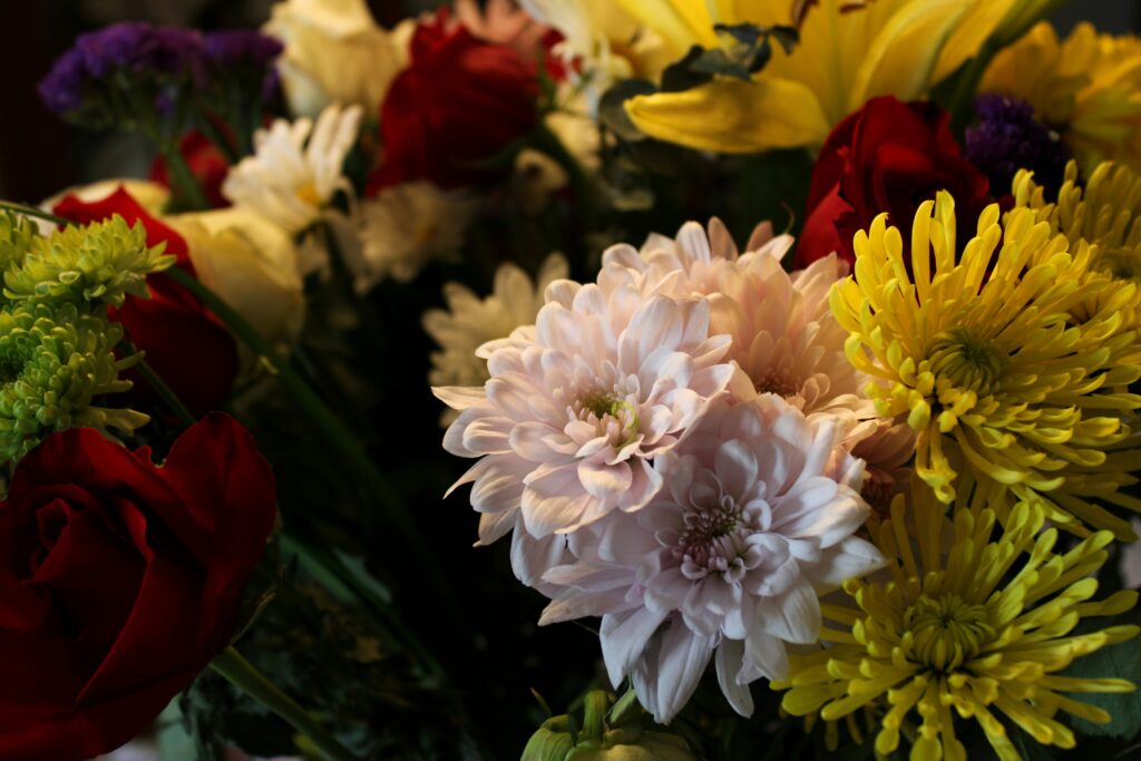 drake whitney kyhrzkytipk unsplash