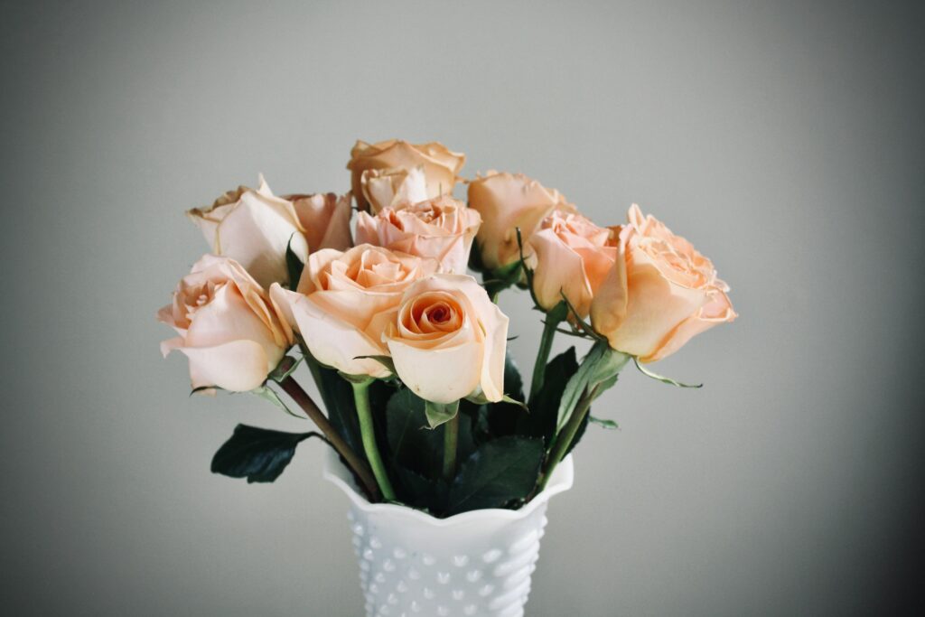 elaine m xuqsklbdsqy unsplash