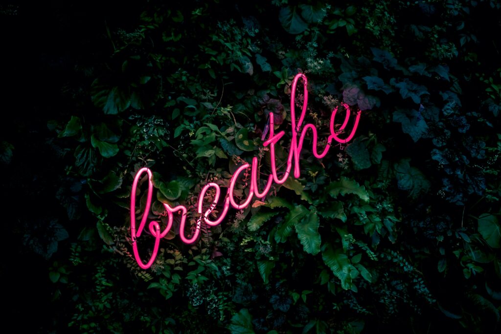fabian moller gi7zgb80qwy unsplash