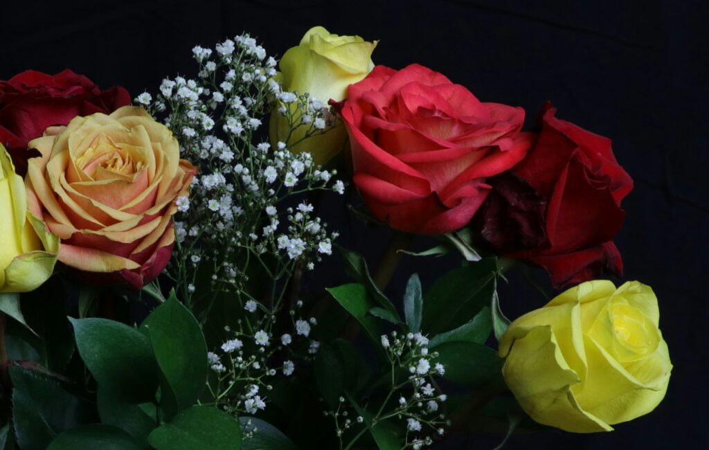 Dárek k MDŽ, který ženy nečekají, ale milují 1 john bewlay vezhuccwyvg unsplash