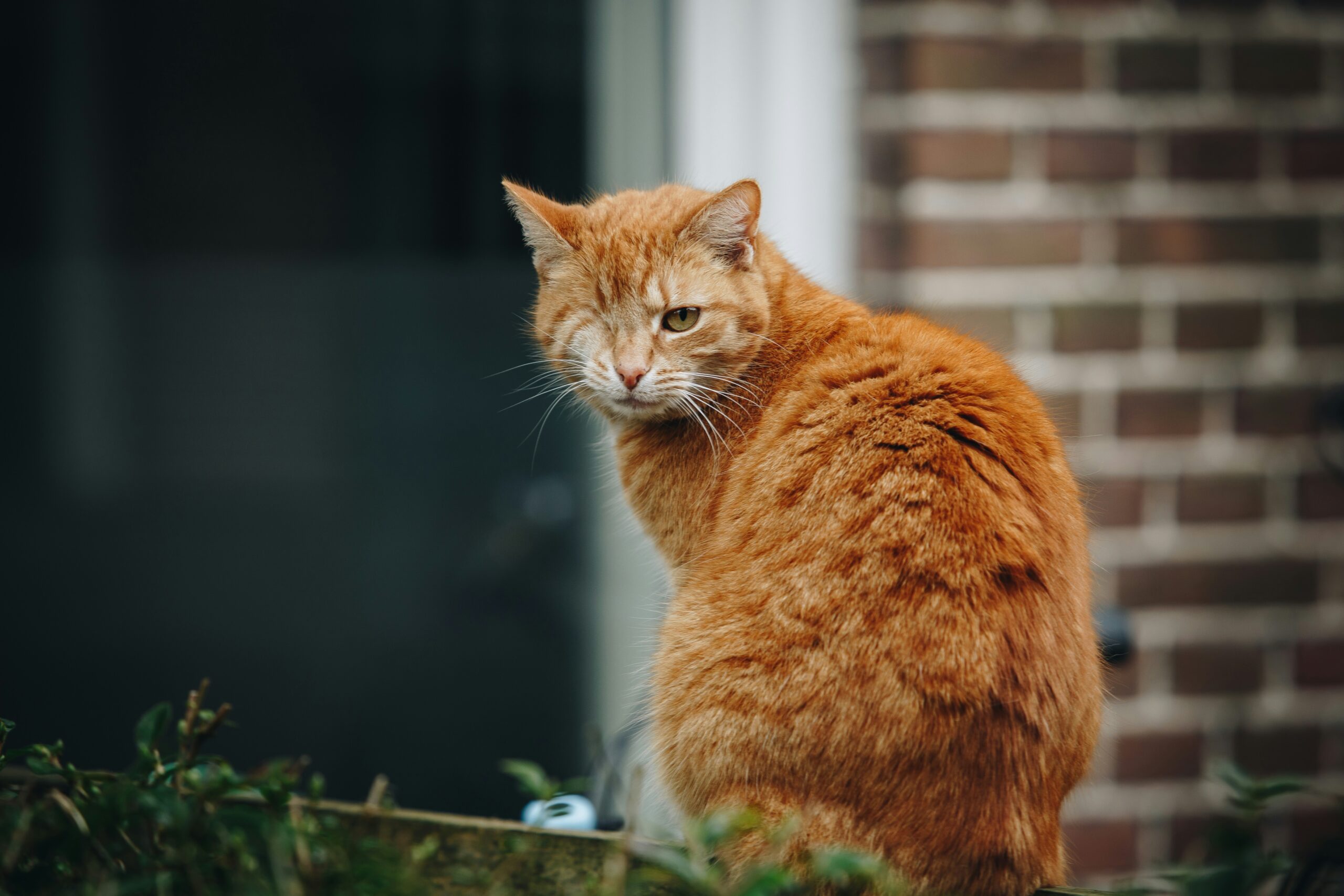 joppe spaa eqtlshfhx o unsplash scaled