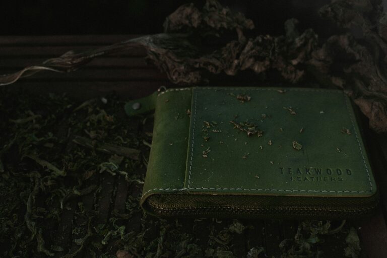 katyayan gauniyal nqzp9p8mi0w unsplash