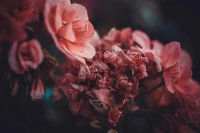ksenya von shlezinger yfzq4osnvto unsplash