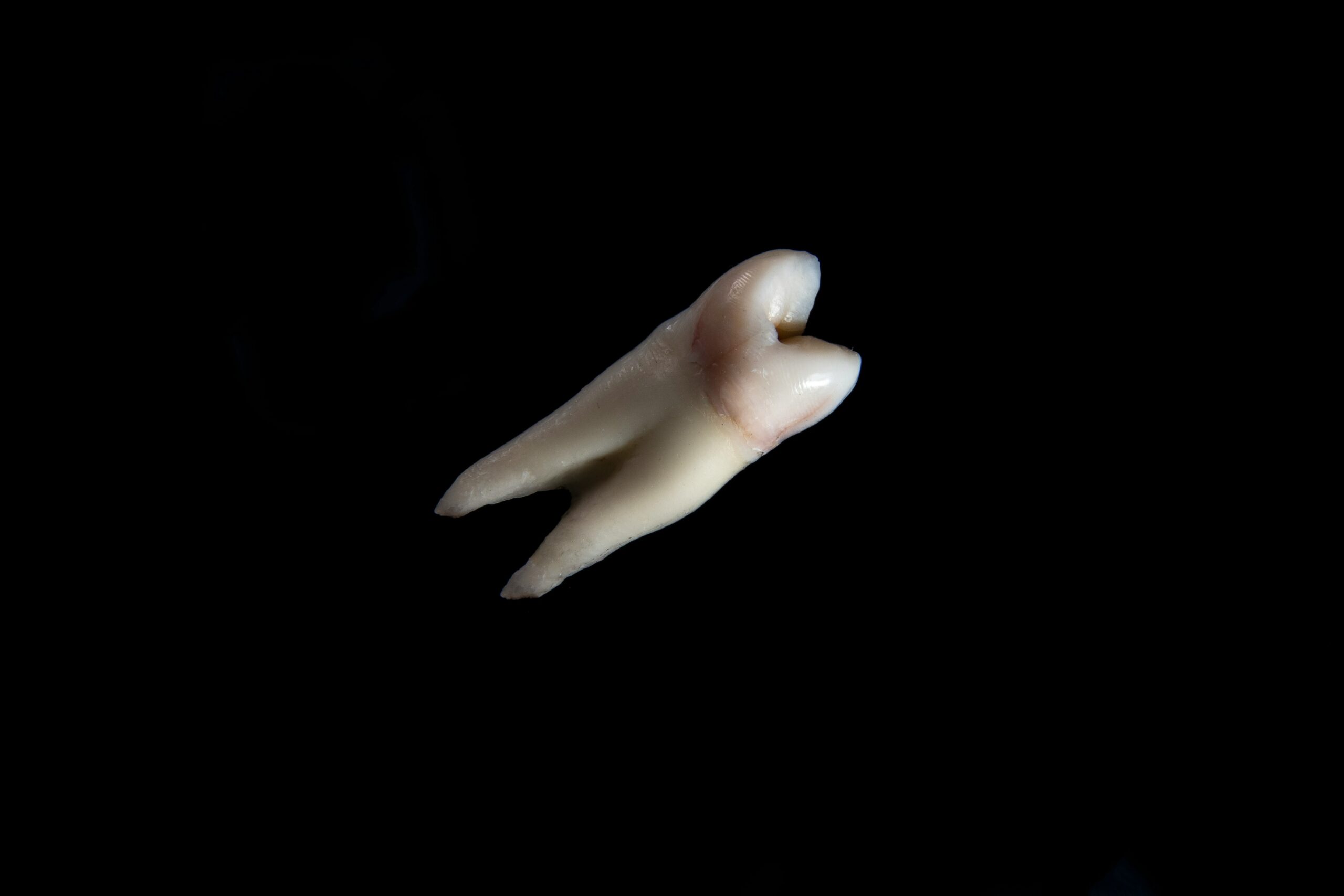 ozkan guner rdjupsvgfta unsplash scaled