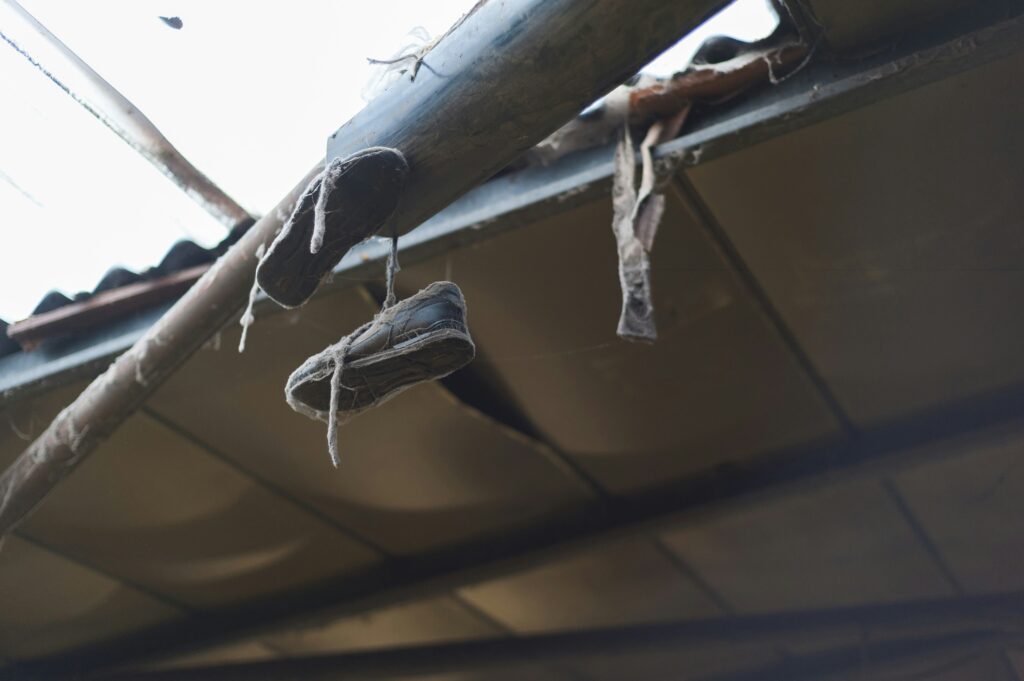 pear melon mi4gc6mvfda unsplash