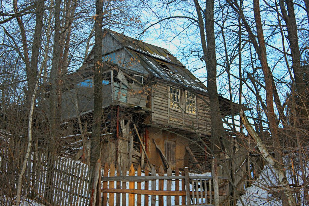 poli23na dcptjavtvb8 unsplash