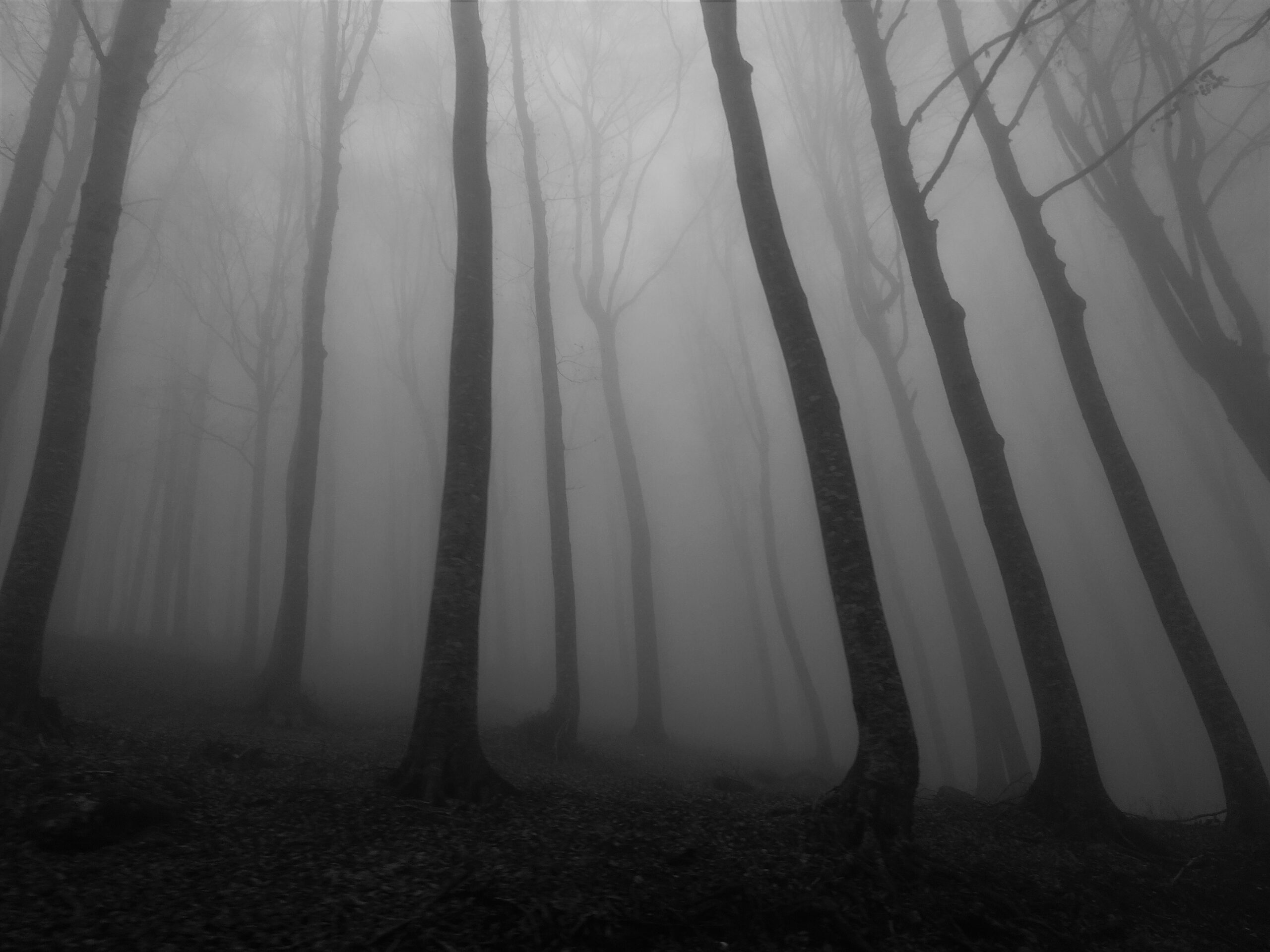 silvana amicone achbgtce7d8 unsplash scaled