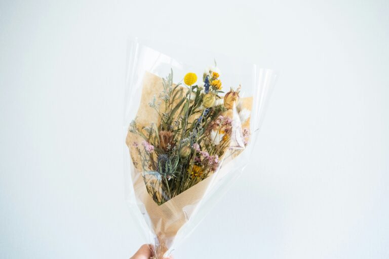 takehiro tomiyama ahf3dqqssou unsplash