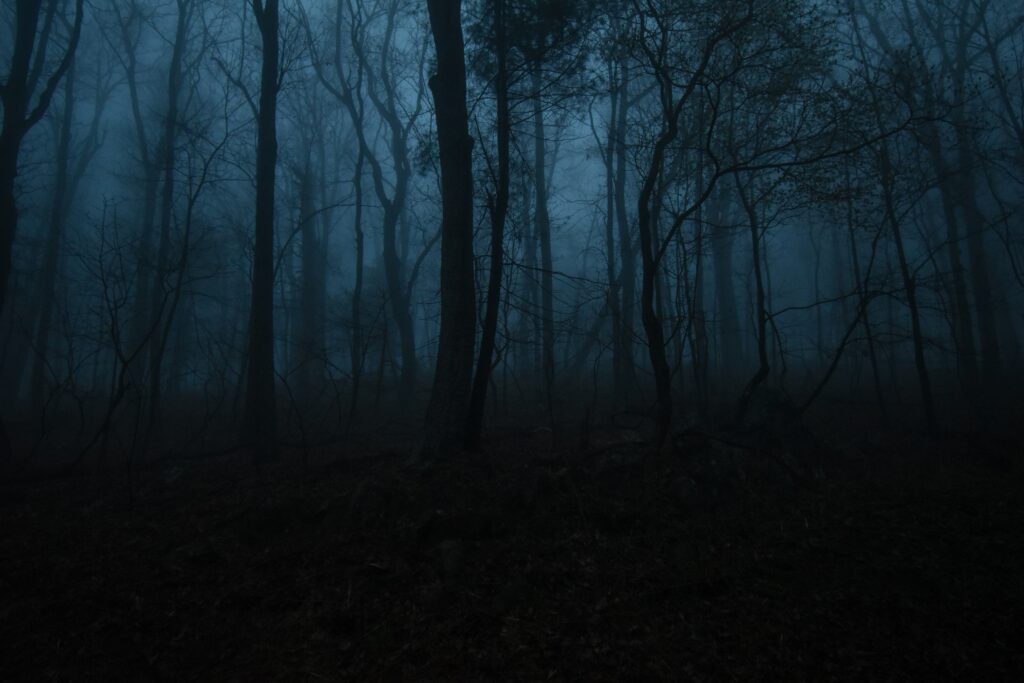 taylor wright 2aspcopnyo0 unsplash