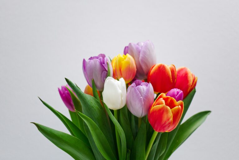 timo c dinger 43m51fryg88 unsplash