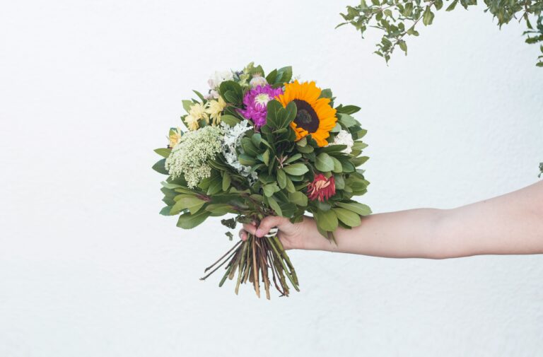 vasiliki theodoridou 2x9cqruf5te unsplash