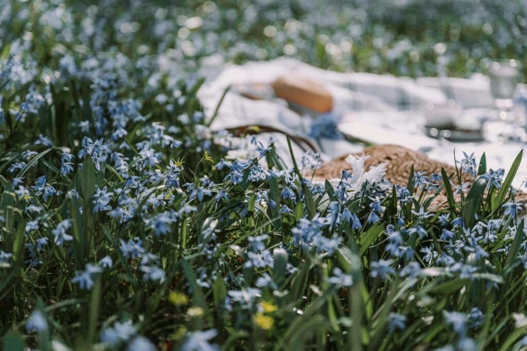 anita austvika ehgh94o9nww unsplash