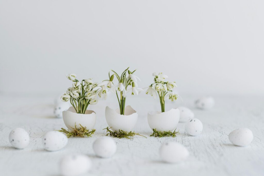 anita austvika j14x0k6r b8 unsplash