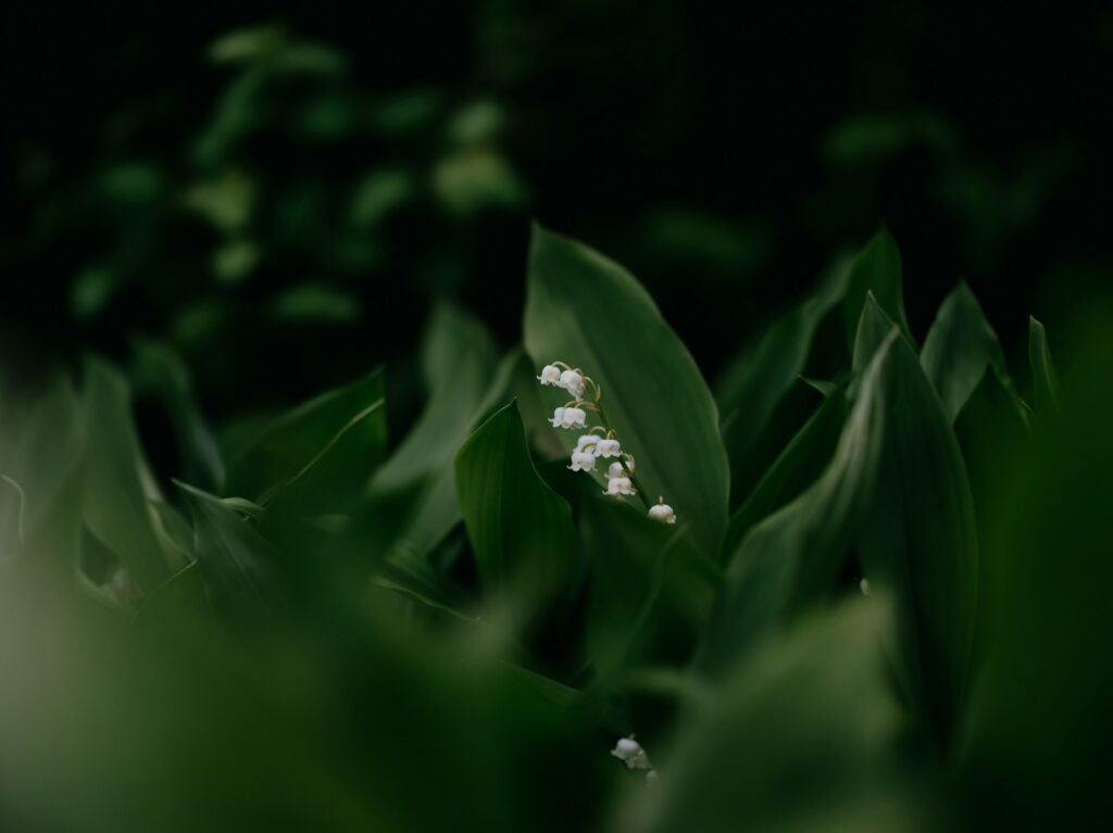 annie spratt ra9kdabxybo unsplash