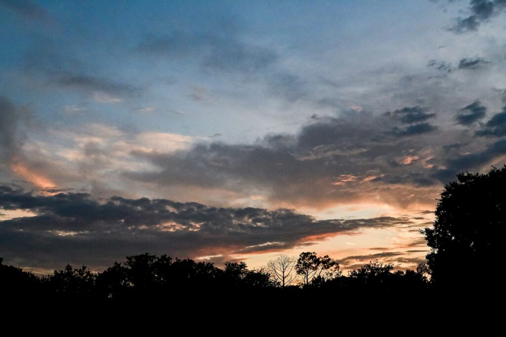bryan dickerson rilkmtkxvlq unsplash