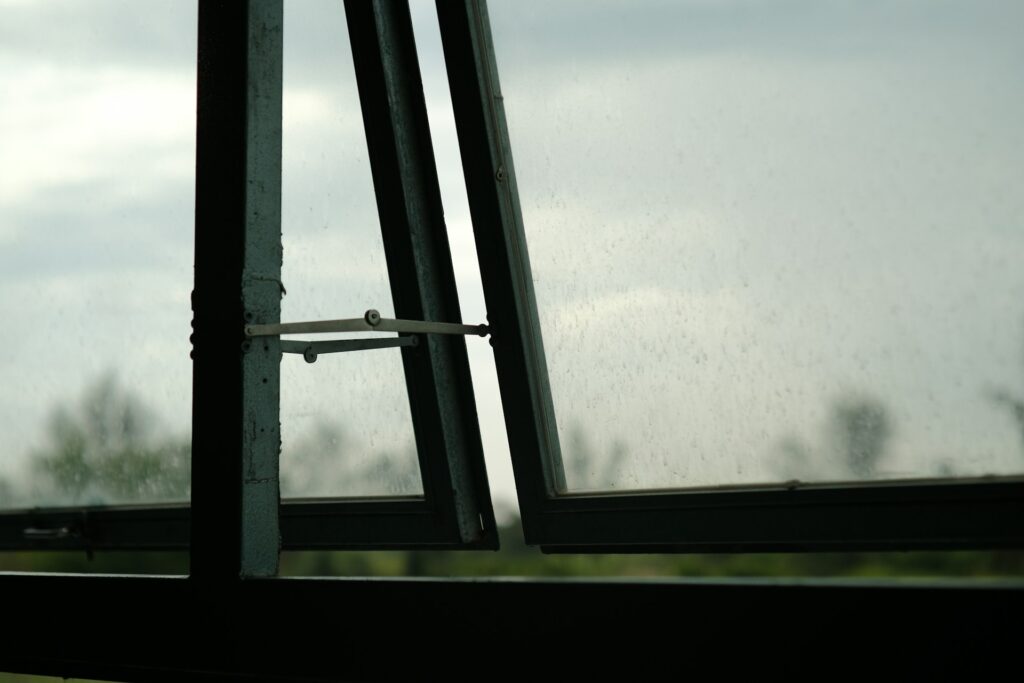 dao vi t hoang vmsqemhickk unsplash