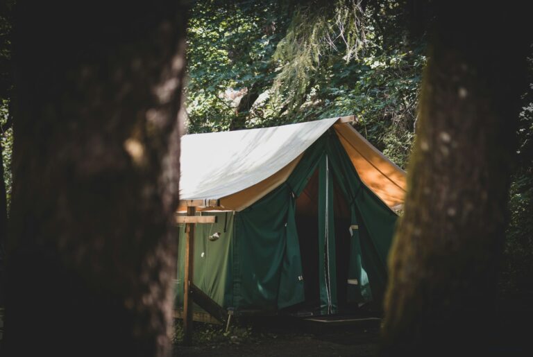 hari nandakumar mfbja0n 4sk unsplash