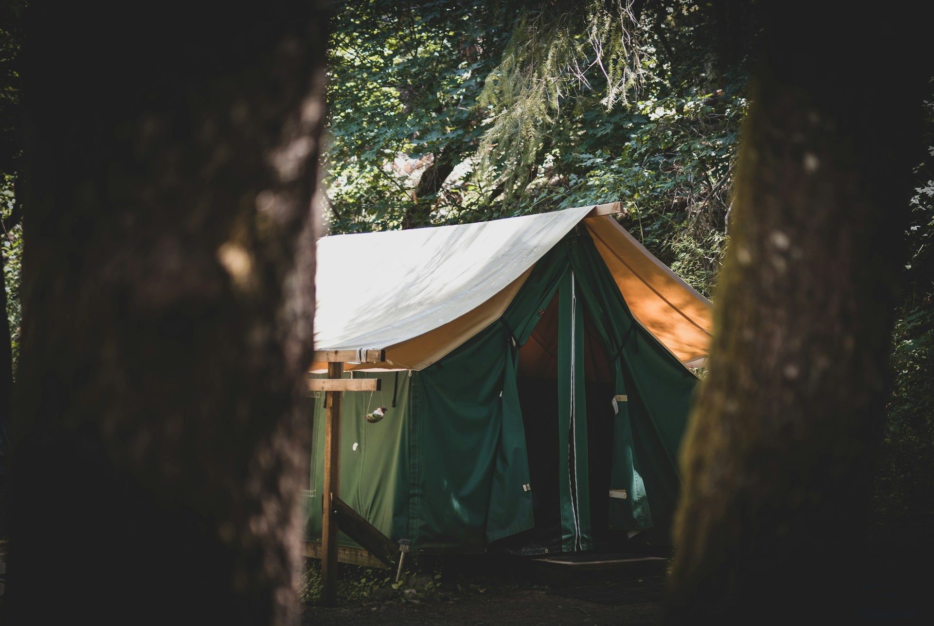 hari nandakumar mfbja0n 4sk unsplash