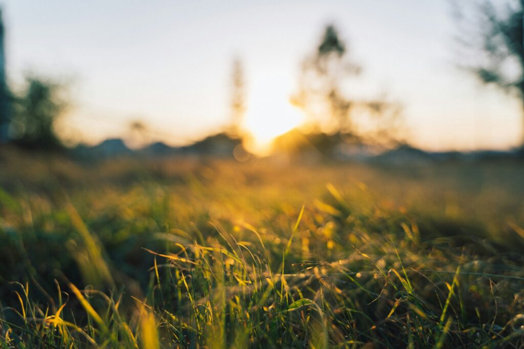 johnes hou deh0xhr6vbw unsplash