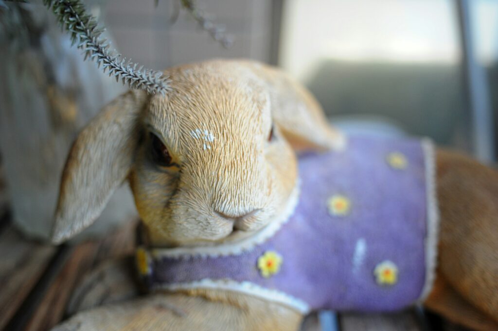 joshua fernandez aqurdmknaus unsplash