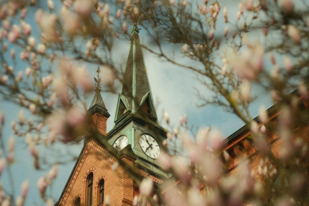 konrad hofmann tx1h3u hsjo unsplash