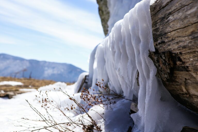 kristijan nikodinovski xwhvwnknbgc unsplash