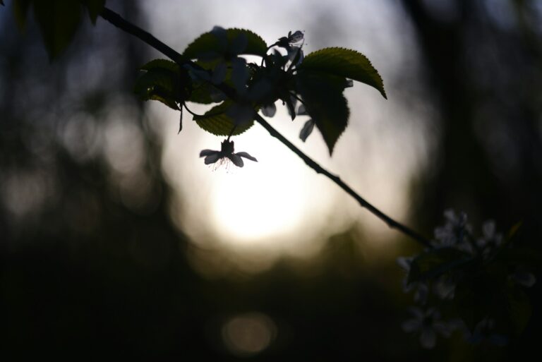 liana s y8oftsmgb4 unsplash
