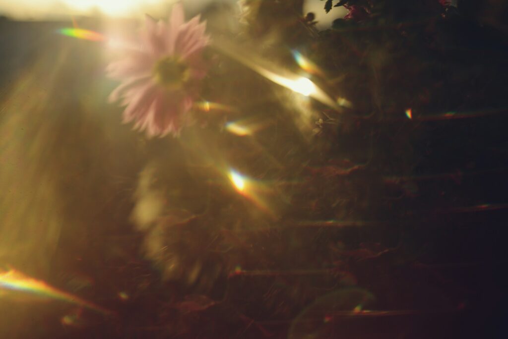 liana s q6yxx8k6sxw unsplash