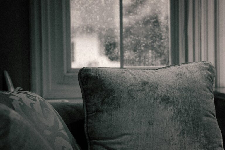 ludek pytloun r k lkxhhlu unsplash