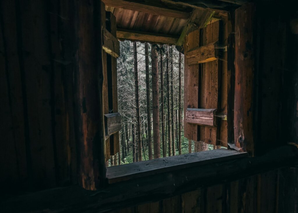 matthew 90lqleomcas unsplash