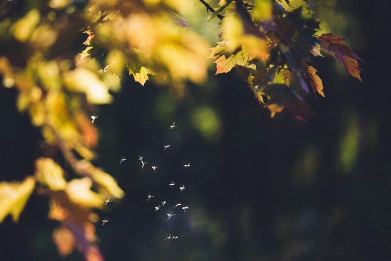 maxim mogilevskiy 8yiu3yt88ds unsplash