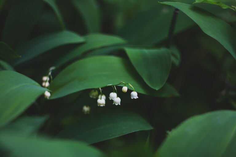 mila young k88qpejvj1k unsplash