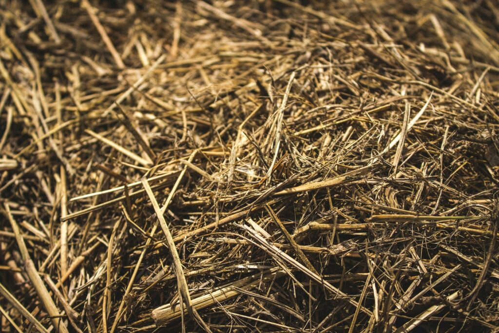 mitch fox c8m u6sj8im unsplash