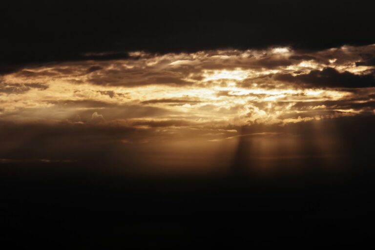 nadiia ploshchenko s0fgmsxbdou unsplash