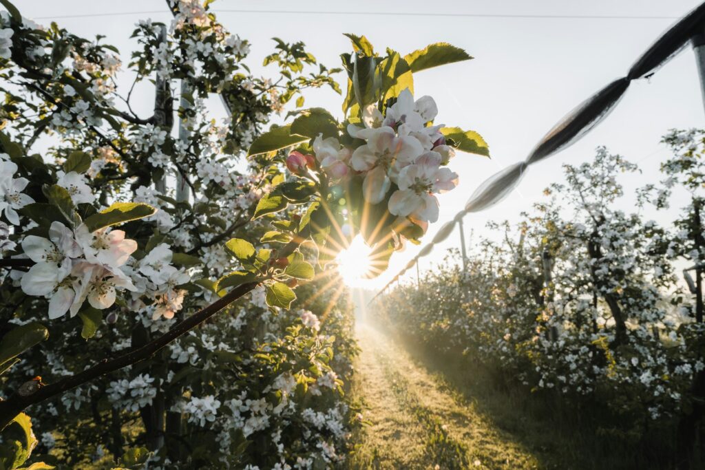 pascal debrunner v4jq8t3aalu unsplash