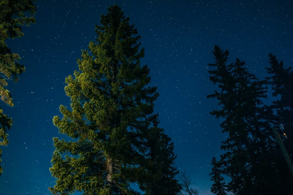 Pod širákem bezpečně: Co udělat, abyste usínali bez obav? 3 paul siewert spcuk2bhwr4 unsplash