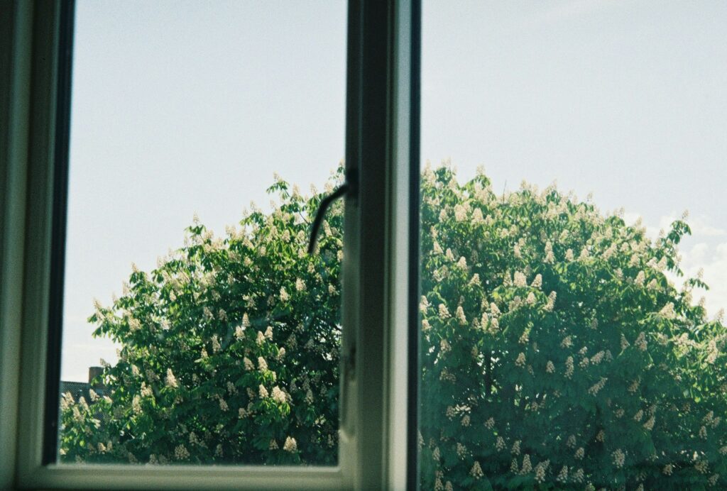 raphael bernhart peadleyxtge unsplash