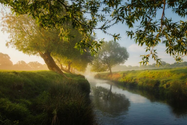 simon wilkes jlvej8idpqc unsplash
