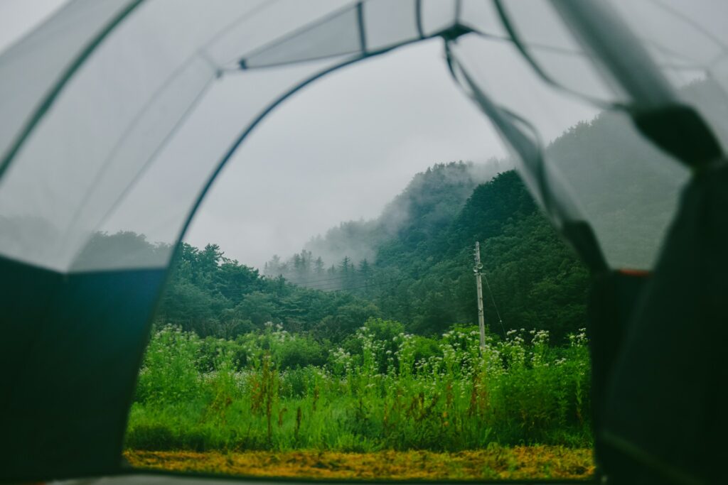 suhyeon choi m9s4q0wdtu8 unsplash