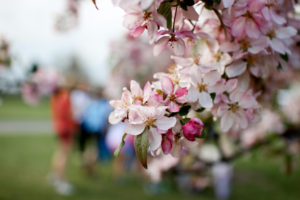 tim umphreys hvhfd9ywzci unsplash