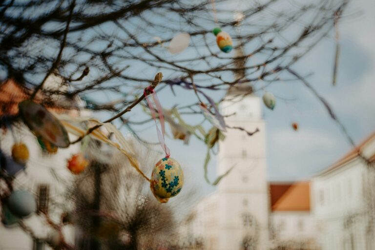 trnava university gx1u 9eeqtk unsplash