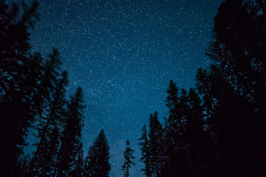 Pod širákem bezpečně: Co udělat, abyste usínali bez obav? 2 troy olson wbfe dwvdcg unsplash